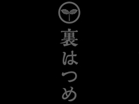 【裏 はつめ限定】飲み放題付きおまかせコース（全22品）