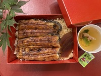 Unaju