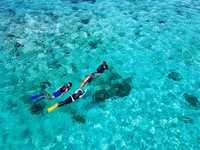 【Visitor】Boat Snorkel tour 90min Adult/Child_～2026.3.13