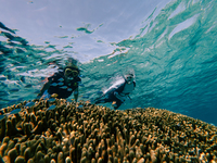 【Hotel Guest】Beach Snorkel tour 60min Adult/Child_～2026.3.13