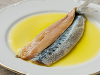 【Dinner/Menu Olive】6 short courses