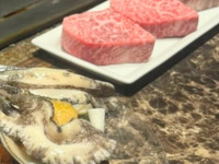 绫道-AYANTSU- 2026