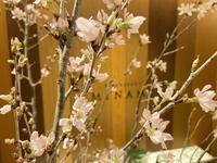 【3月25日ディナー限定　春よ、こいこいフェア】※料理のみ