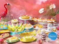 ◆デザート＆ライトミールブッフェ【ピーチ＆メロン Meets ハーゲンダッツ  スイーツブッフェ  5/13~8/31】