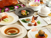 ランチ桜コース（お花見ランチ）＋乾杯のシャンパン　※11：30～13：15までの席