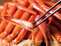 Steak & crab all-you-can-eat dinner buffet(90 minutes)　Adults