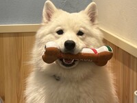 Weekends and public holidays: Standard ticket (50 minutes)