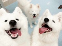 4/1～≪平日≫通常チケット（50分）