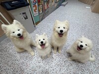 From April 1st: Weekdays - Regular Ticket (50 minutes)