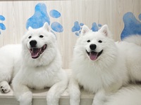 ≪平日≫通常チケット（50分）