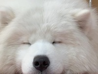 From April 1st onwards: Weekends and public holidays - Regular ticket (50 minutes)