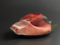 ＜ディナーコース＞お花見期間限定3月20日〜4月10日適応　鮪と季節の日本料理を楽しむコース9350円(2名様〜)＋桜の見える窓側優先