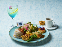 [Nemophila Lunch 2026] Adult Lunch - Spring Sky Feast Plate -