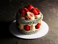 抹茶トンプソン 12cm