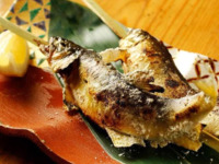 ＜全室個室＞【吟麗】山女魚・信州牛・桜鯛等いろり焼き5種と鮮魚三種盛りなど～全9品～