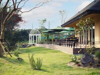 [Spring Limited Lunch] Café Plan on the Terrace - Enjoy your post-meal moments on the terrace -