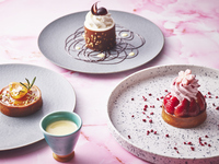 【Spring Menu ★ Lunch】Omakase Counter Exclusive Menu (4 Courses)