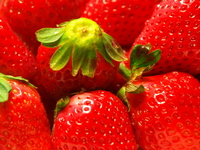 期間限定ランチ　松前小町 with Strawberry　2026　フレッシュ苺5粒追加