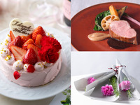 【母の日ランチ】感謝を伝える特製ケーキとカーネーション1輪付　乾杯酒+カジュアル4品ランチコース≪2名様専用≫