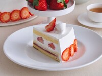 Drink set / "Morning-picked, ripe Benihoppe" strawberry fluffy shortcake