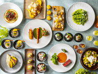  1drink + Semi Lunch Buffet 'Strings VIVACE' Adults - weekday