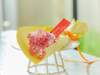 【お花ギフト】母の日カーネーション一輪