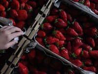 窓側確約　belieble コラボレーションディナー　グラスシャンパン付き