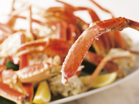 [Semi-private room] Weekend and public holiday 120-minute dinner buffet (adults only)