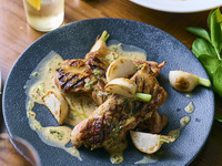 【Terrace Plan Light】テラスで気軽に楽しめる全4皿＋1.5時間飲み放題(テラス限定)