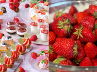祝25周年🍓今が旬のいちごが食べ放題！🍓お好きなスイーツが8種選べる！デザートワゴン付き◇サラダ・パスタ・魚・メインのランチ≪平日限定≫