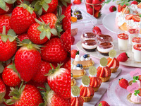 🍓旬の苺を心ゆくまで堪能🍓【苺食べ放題付き】平日限定・スイーツ8種を選べるデザートワゴンとメインが選べるカジュアルランチプレート