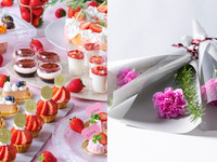 【母の日ランチ】感謝を伝えるカーネーション1輪付　お好きなスイーツが8種選べる！デザートワゴン付き◇サラダ・パスタ・メインのカジュアルランチ＜平日限定＞