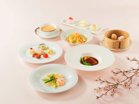 NOC会員様限定 春のランチコース～櫻花燦然～