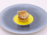 【ランチ / 特別コース】＊スタイルの異なるコースもお楽しみください。