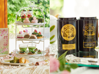 【マリアージュフレール付】抹茶と桜のアフタヌーンティー with 祇園辻󠄀利（平日）