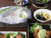 【平日限定】福岡フェアコース＋飲み放題付き　1,2000円