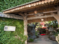 《HP限定最低価格保証コース》季節会席コース35