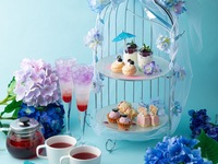 【午餐+下午茶套餐】包含精致开胃拼盘 + 5 道主菜可选 + 时令下午茶 | 奢华午餐（午餐+下午茶）