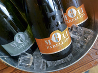 4/13～【ディナー｜プレミアム飲み放題付き】テラス限定ビアガーデンプラン（7品）《厳選ワイン＆スパークリングを”ボトル提供”で愉しむ特別プラン》