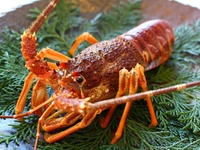 雪室熟成和牛と伊勢海老・鮑の会席　35,200円