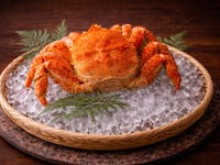 [Lunch] Extra Large Hairy Crab Course