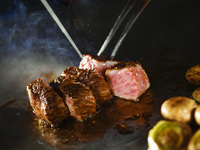 Teppanyaki Course: Ezo (Half portion for children)