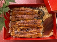 Unaju