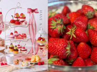 祝25周年🍓今が旬のいちごが食べ放題！🍓【平日】いちごとチェリーのアフタヌーンティー