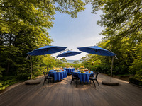 森の特等席～14時回～