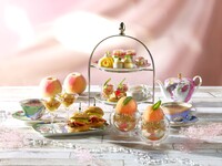 Afternoon tea（Jul–Aug）