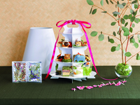 【2日前までの要予約】テイクアウト専用 いしかわ動物園コラボレーション アフタヌーンティーセット ～little zoo～　2名様用