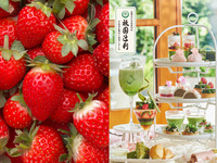 🍓旬の苺を心ゆくまで堪能🍓【苺食べ放題付き】平日限定！抹茶と桜のアフタヌーンティ with 祇園辻利（2時間カフェフリー）