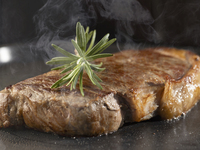 Wagyu Beef Plan (May 20th - May 31st)