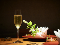 【5月14日〜】  【新】シェフお任せ厳選デイナーコース17,600